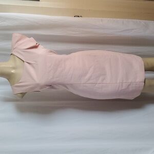 NWT The Limited Light Pink Ruffle Sleeve Dress Size 10